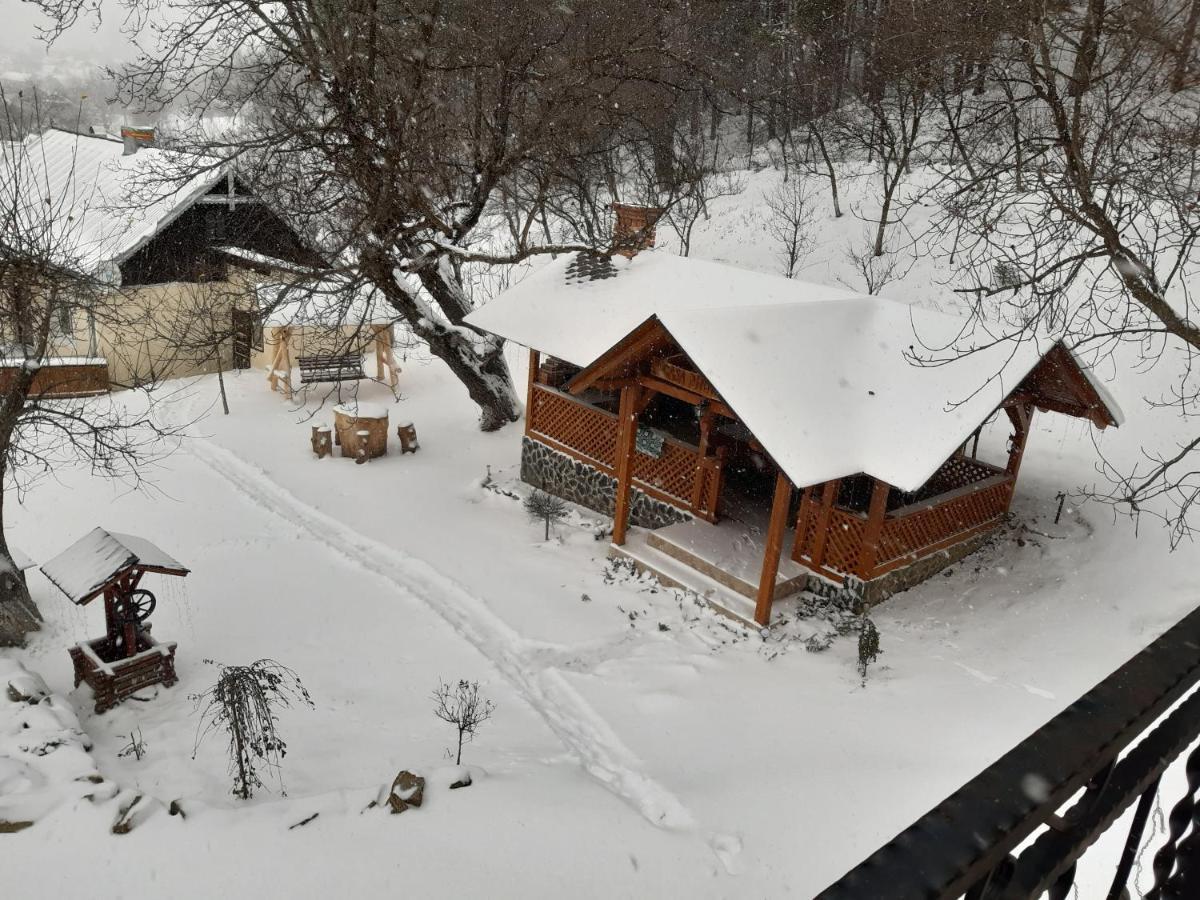 Casa Dintre Pini Păltinoasa Exterior foto