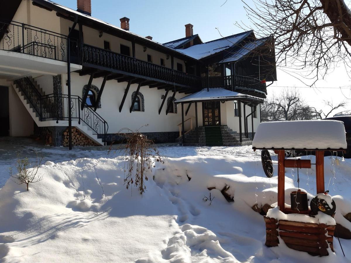 Casa Dintre Pini Păltinoasa Exterior foto