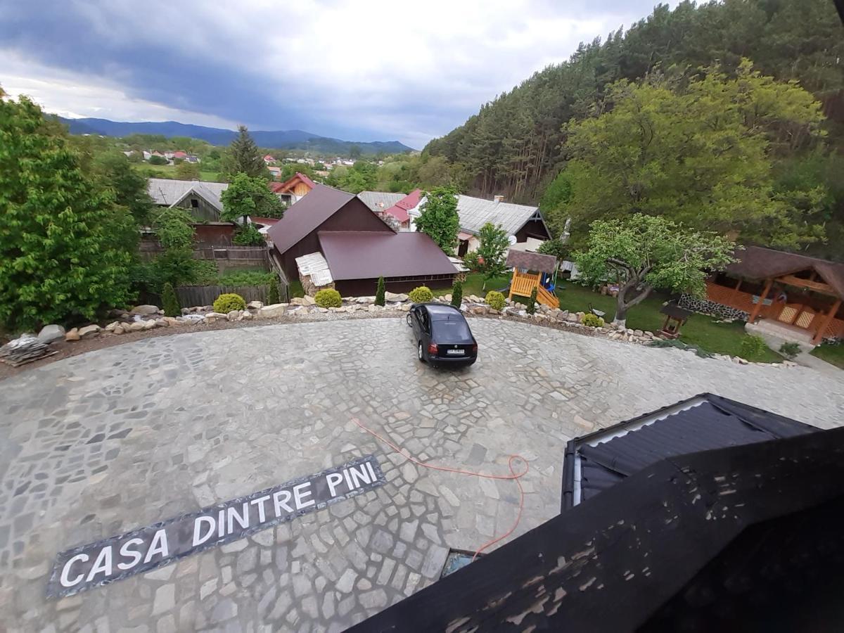 Casa Dintre Pini Păltinoasa Exterior foto