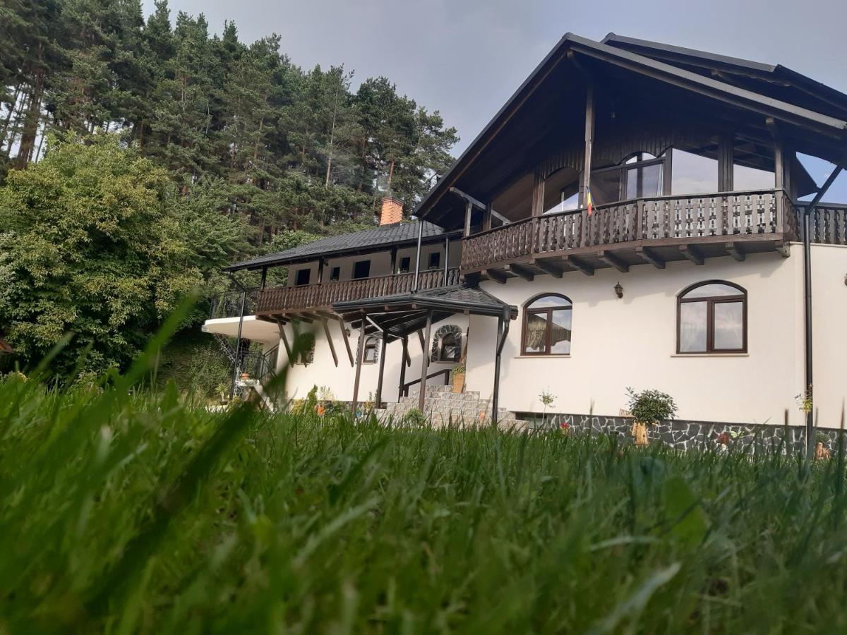 Casa Dintre Pini Păltinoasa Exterior foto