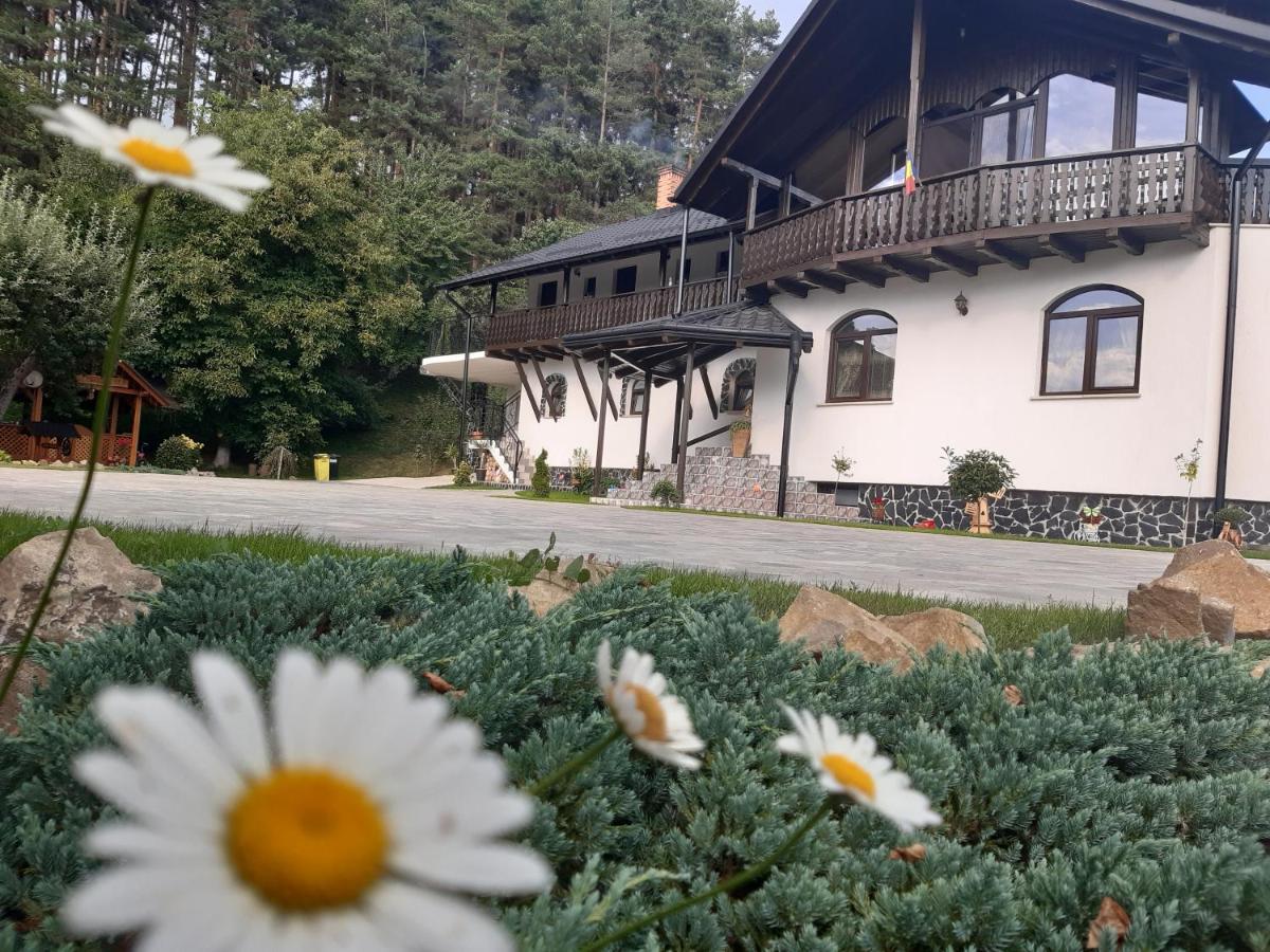 Casa Dintre Pini Păltinoasa Exterior foto
