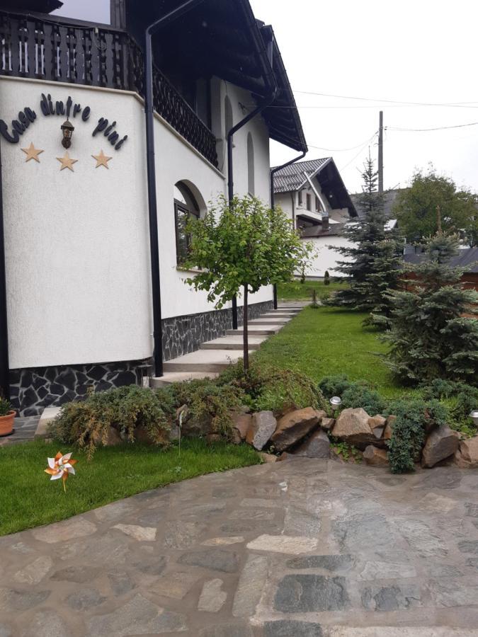 Casa Dintre Pini Păltinoasa Exterior foto