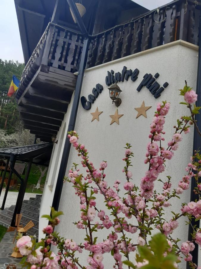 Casa Dintre Pini Păltinoasa Exterior foto
