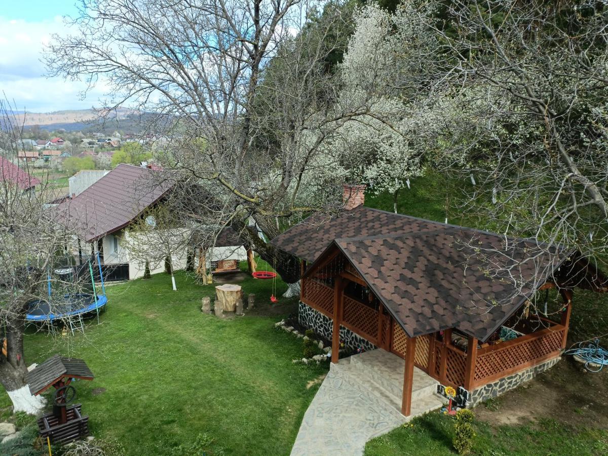 Casa Dintre Pini Păltinoasa Exterior foto