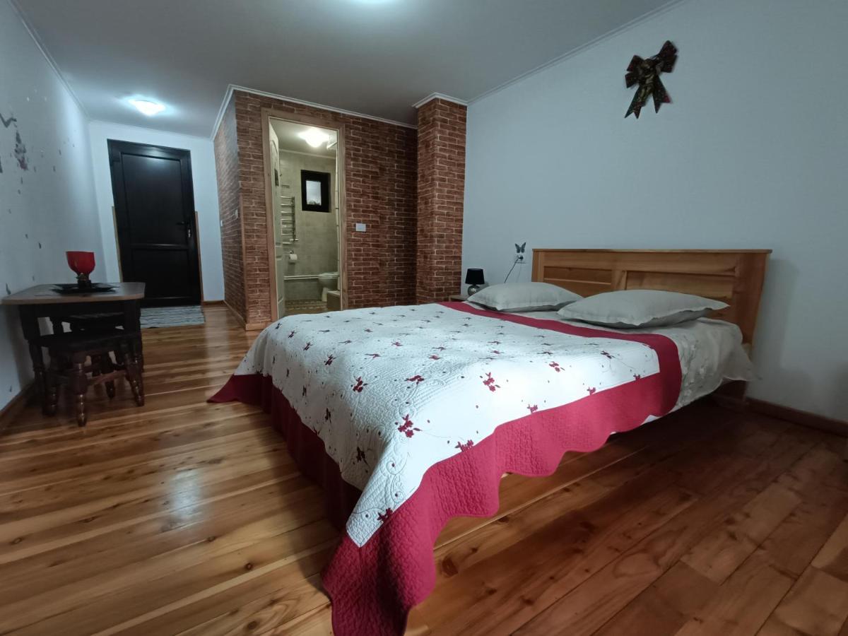 Casa Dintre Pini Păltinoasa Exterior foto