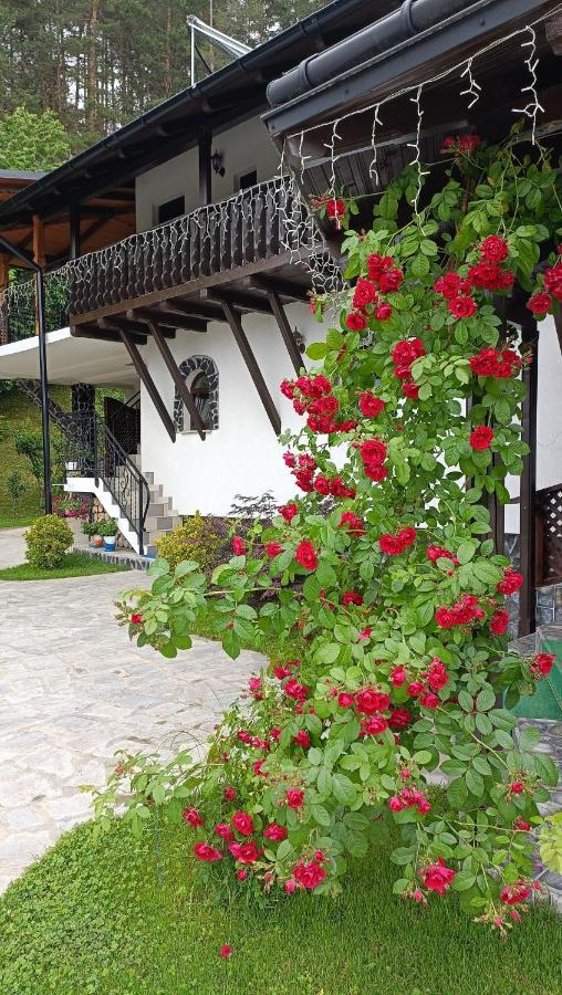Casa Dintre Pini Păltinoasa Exterior foto