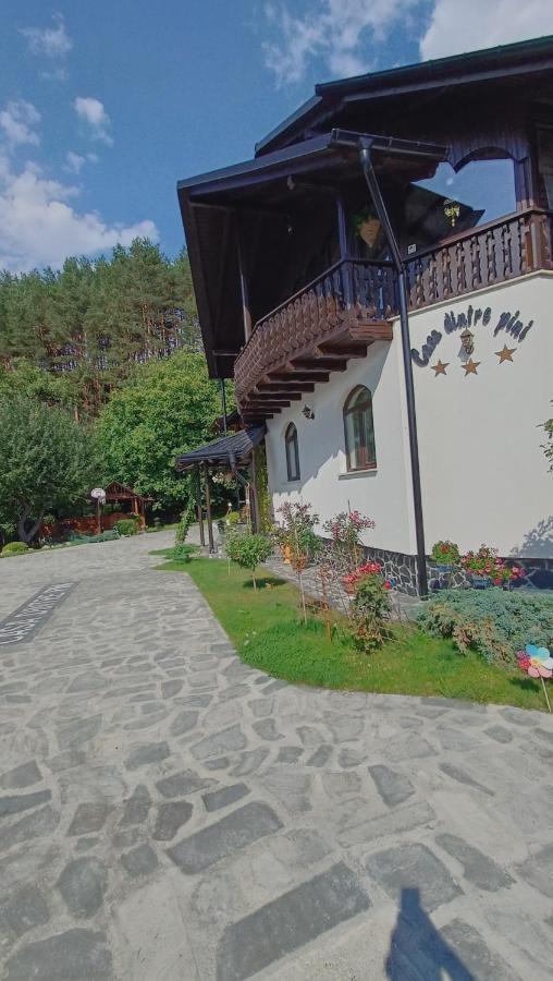 Casa Dintre Pini Păltinoasa Exterior foto