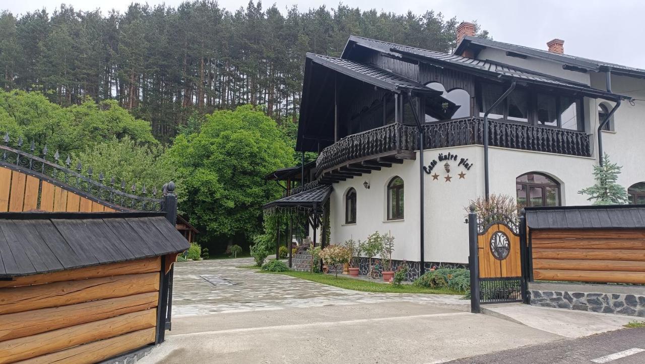Casa Dintre Pini Păltinoasa Exterior foto